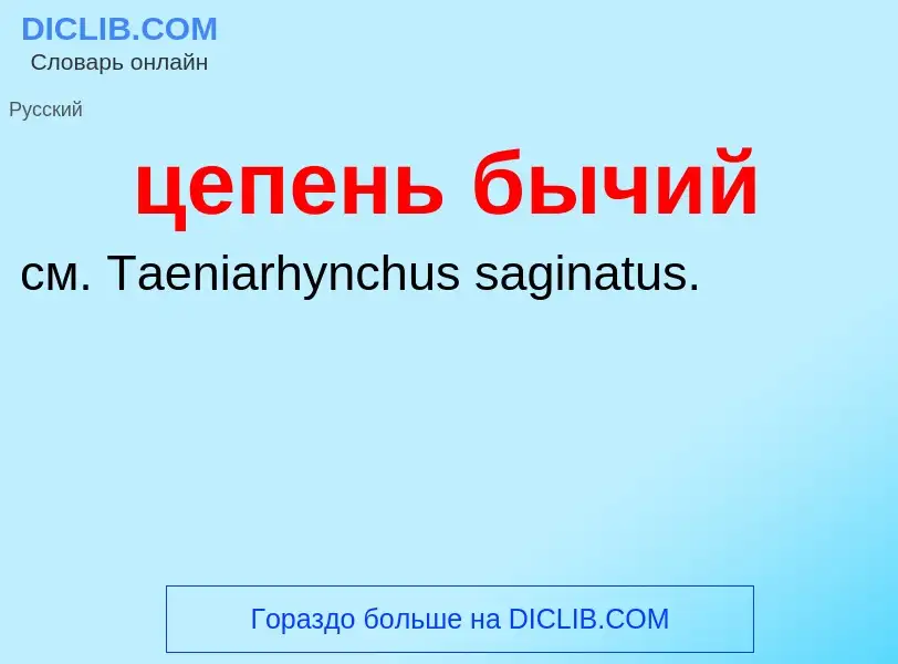 What is цепень бычий - meaning and definition