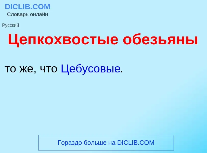 Was ist Цепкохв<font color="red">о</font>стые обезь<font color="red">я</font>ны - Definition