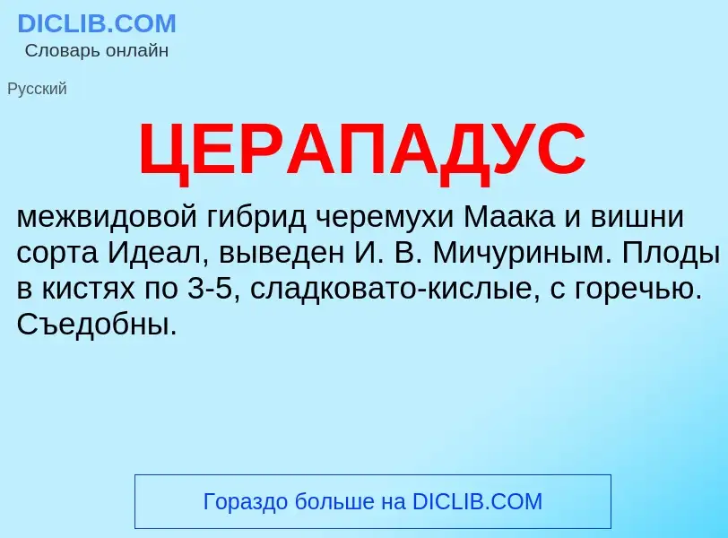 O que é ЦЕРАПАДУС - definição, significado, conceito