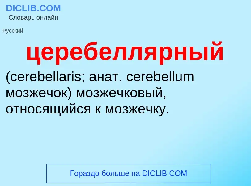 What is церебеллярный  - meaning and definition