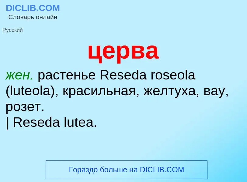 O que é церва - definição, significado, conceito