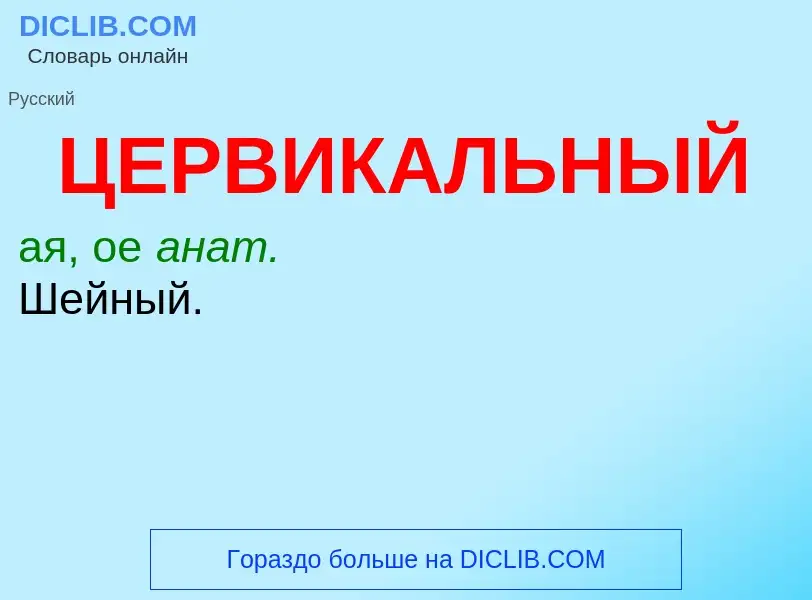 Τι είναι ЦЕРВИКАЛЬНЫЙ - ορισμός