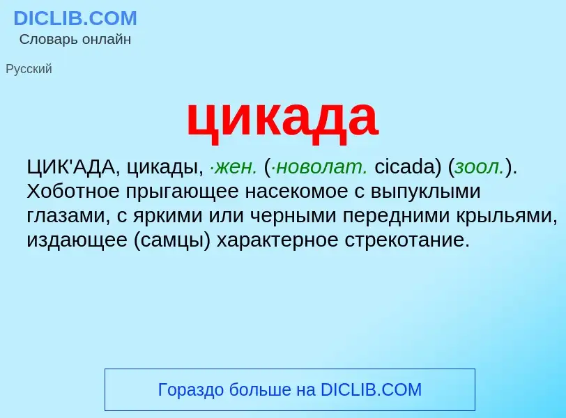 What is цикада - meaning and definition