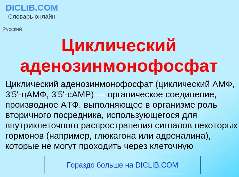 What is Циклический аденозинмонофосфат - meaning and definition