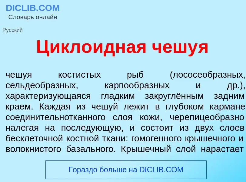 Che cos'è Цикл<font color="red">о</font>идная чешу<font color="red">я</font> - definizione