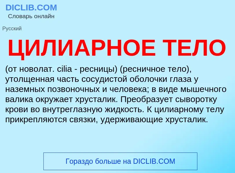 O que é ЦИЛИАРНОЕ ТЕЛО - definição, significado, conceito