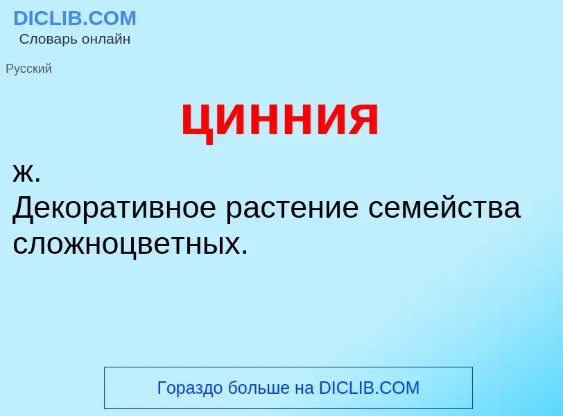 What is цинния - definition