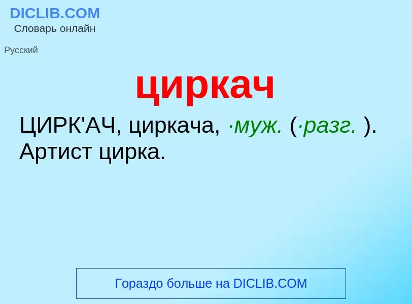 What is циркач - meaning and definition