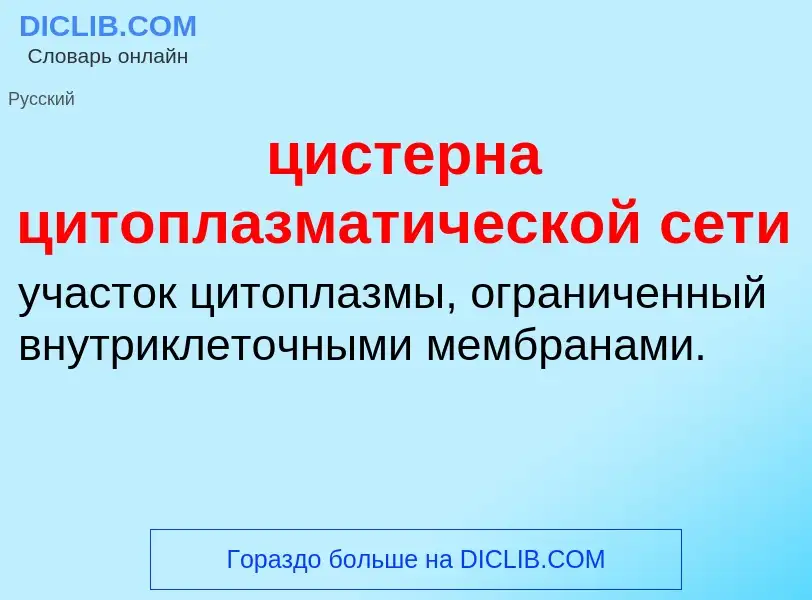 Wat is цистерна цитоплазматической сети - definition