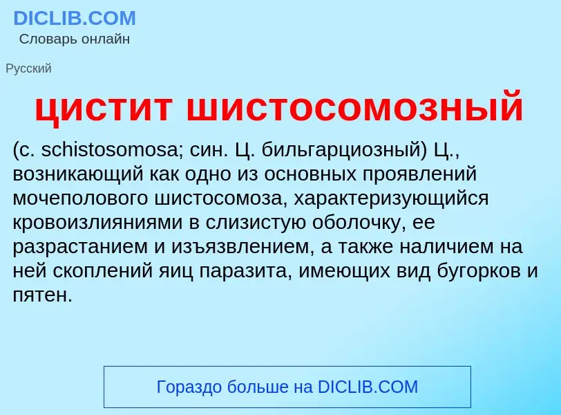 Wat is цистит шистосомозный  - definition