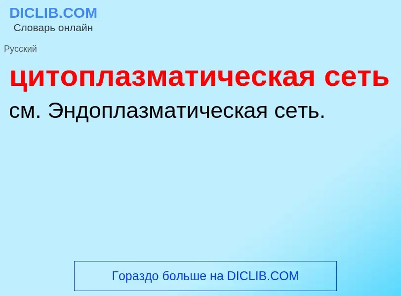 Что такое цитоплазматическая сеть - определение