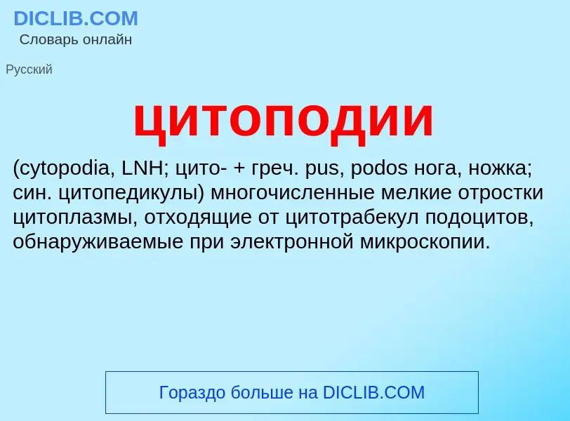 Wat is цитоподии  - definition