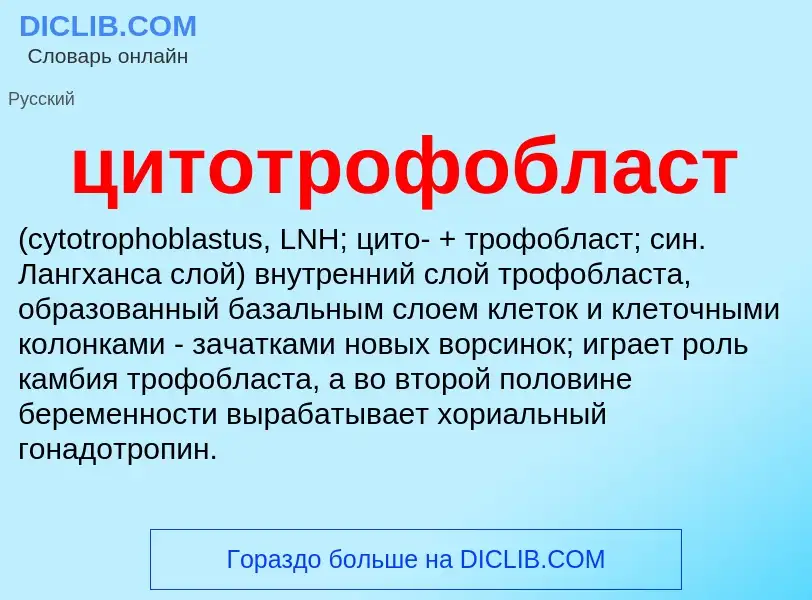 Wat is цитотрофобласт  - definition