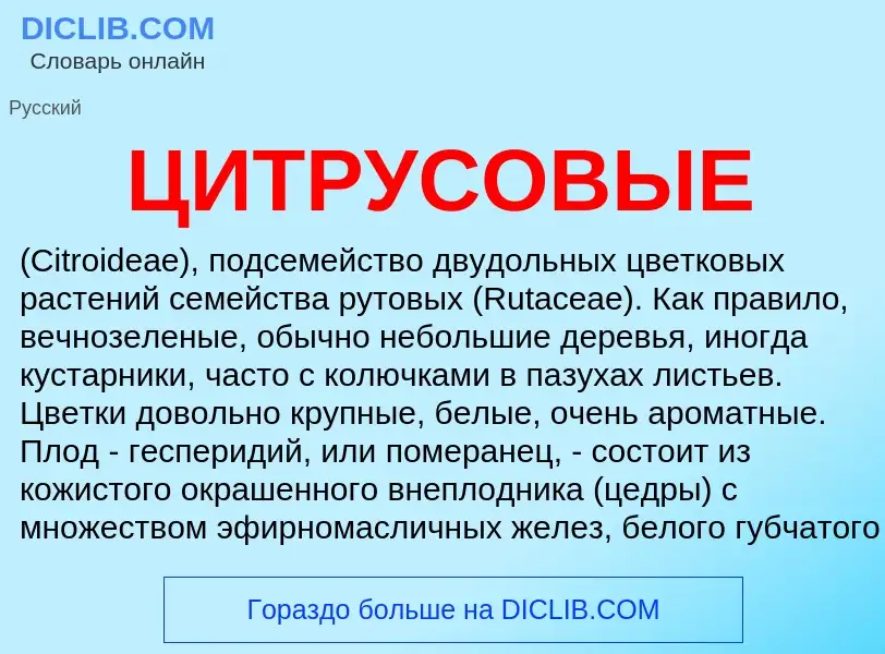 What is ЦИТРУСОВЫЕ - meaning and definition