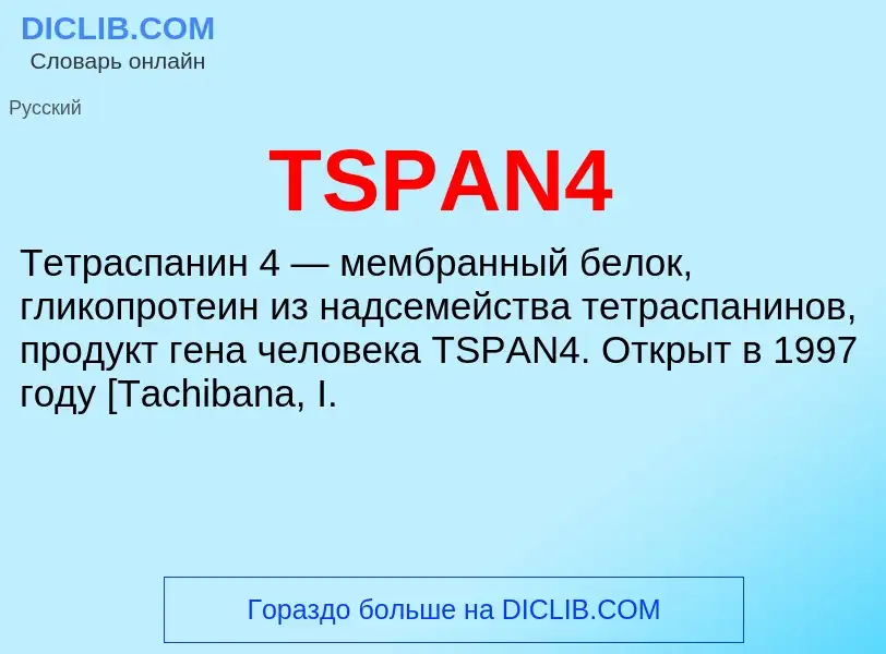 Что такое TSPAN4 - определение