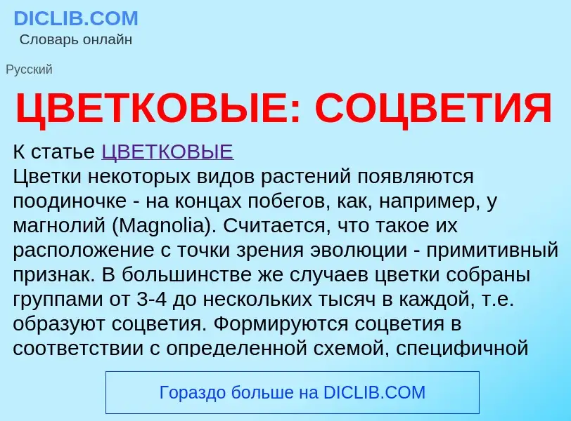 Wat is ЦВЕТКОВЫЕ: СОЦВЕТИЯ - definition