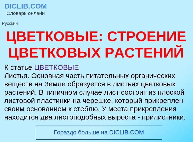 Что такое ЦВЕТКОВЫЕ: СТРОЕНИЕ ЦВЕТКОВЫХ РАСТЕНИЙ - определение