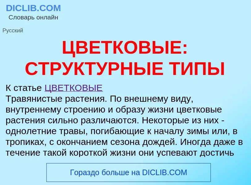 Wat is ЦВЕТКОВЫЕ: СТРУКТУРНЫЕ ТИПЫ - definition