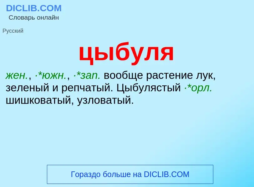 Wat is цыбуля - definition