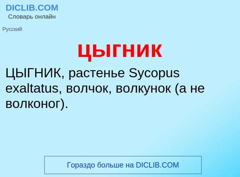 Wat is цыгник - definition