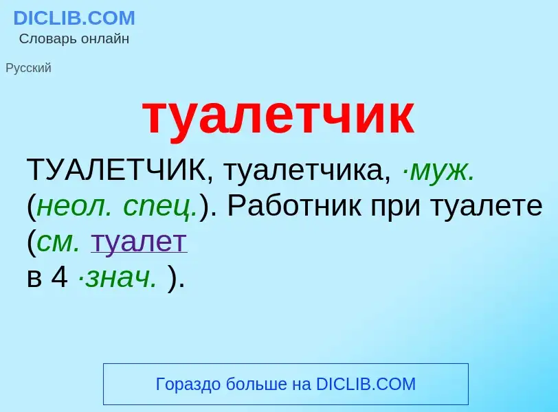 ¿Qué es туалетчик? - significado y definición