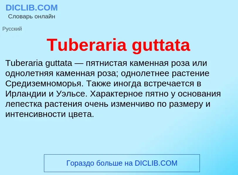 Wat is Tuberaria guttata - definition