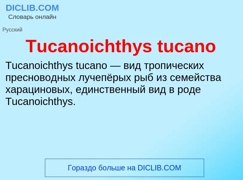 What is Tucanoichthys tucano - definition