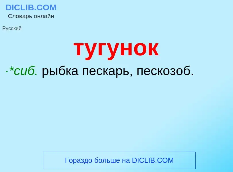 ¿Qué es тугунок? - significado y definición