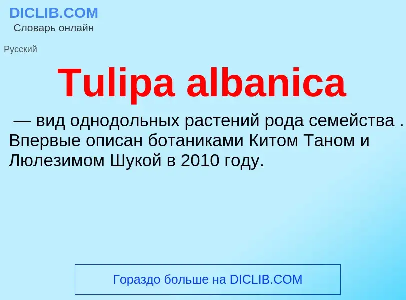 What is Tulipa albanica - definition