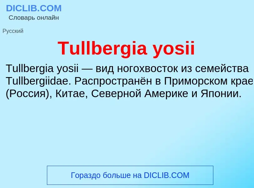 What is Tullbergia yosii - definition