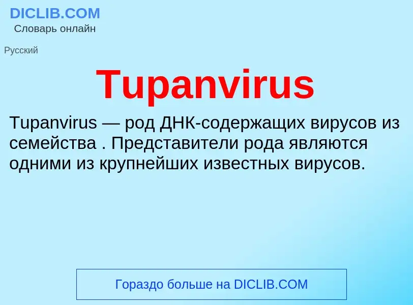 What is Tupanvirus - definition