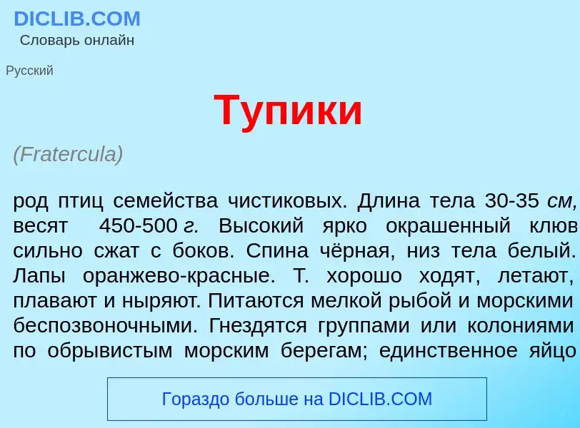 Wat is Т<font color="red">у</font>пики - definition