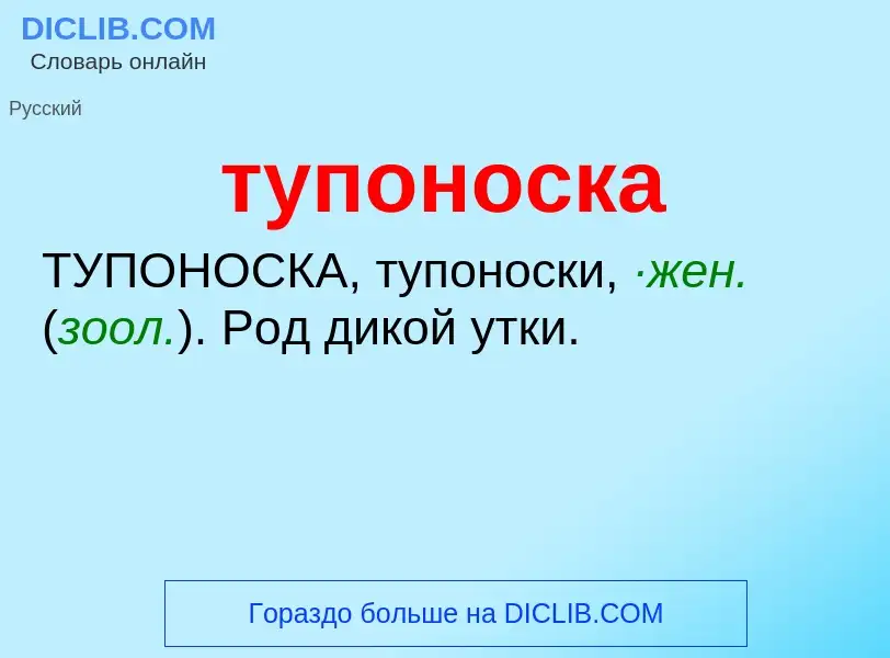 ¿Qué es тупоноска? - significado y definición