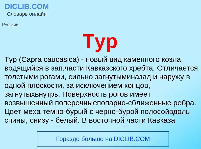 Wat is Тур - definition