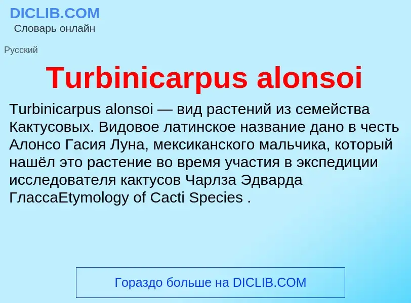 What is Turbinicarpus alonsoi - definition