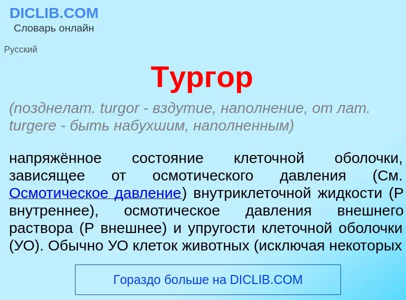 Что такое Т<font color="red">у</font>ргор - определение