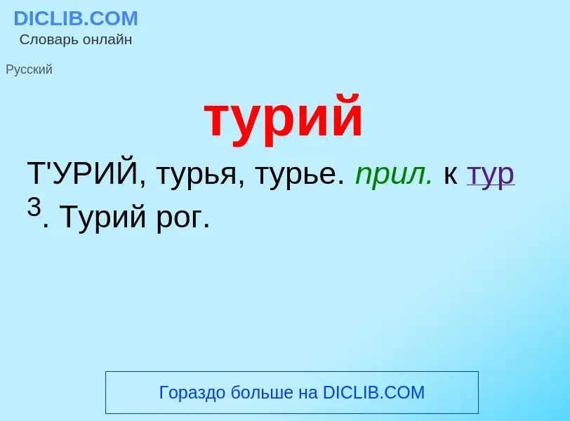 Что такое турий - определение