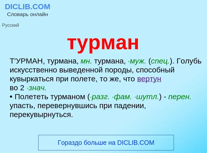 ¿Qué es турман? - significado y definición