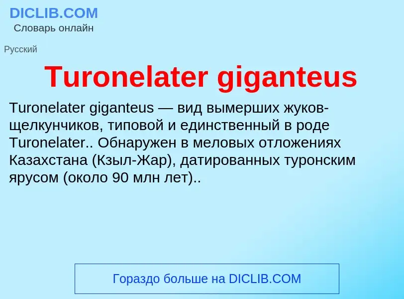 What is Turonelater giganteus - definition