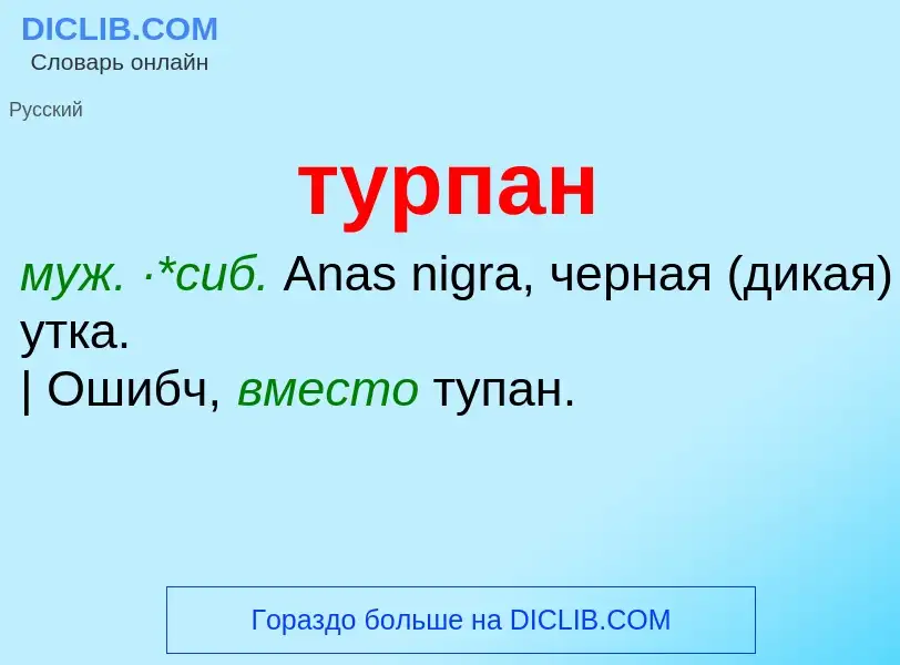 ¿Qué es турпан? - significado y definición