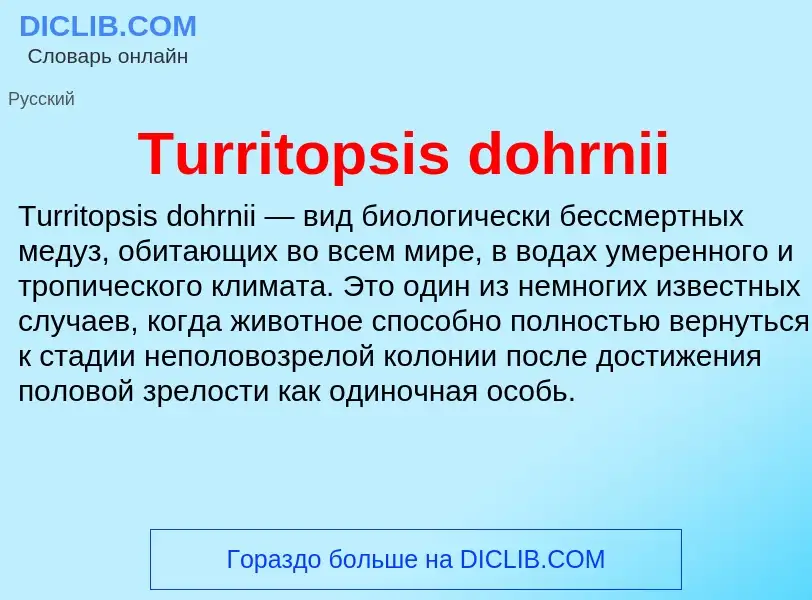 ¿Qué es Turritopsis dohrnii? - significado y definición