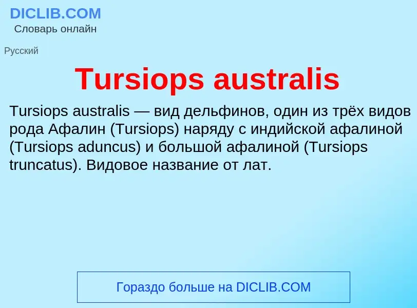 What is Tursiops australis - definition