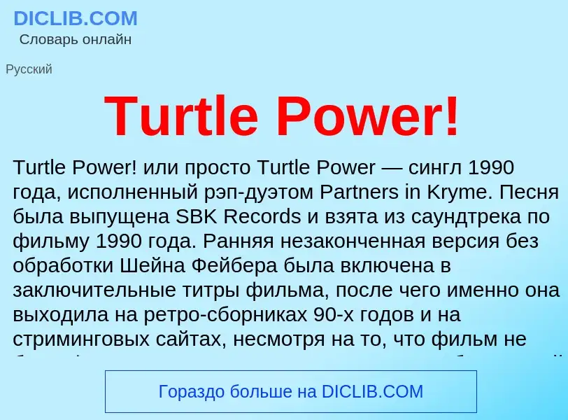 Wat is Turtle Power! - definition