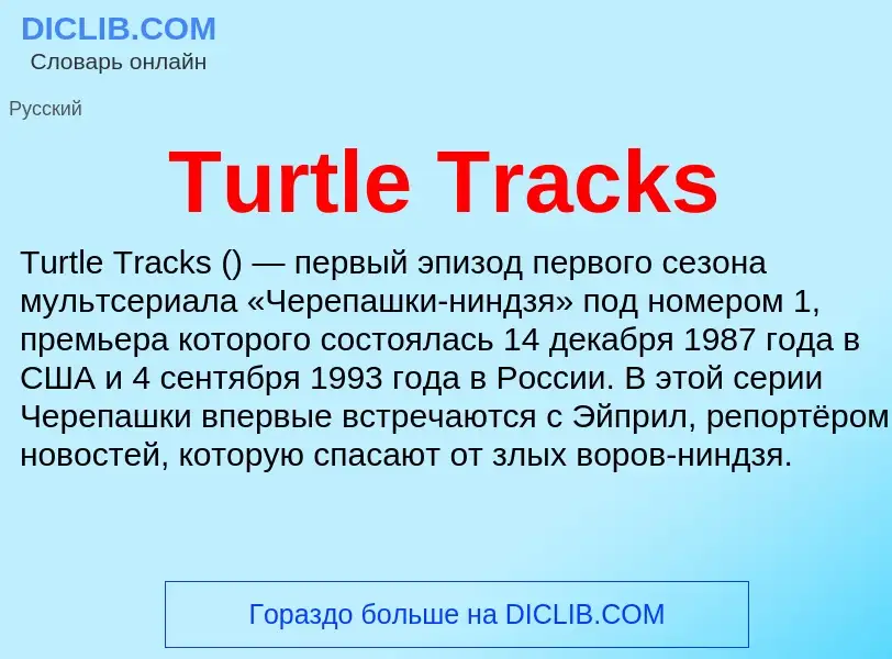 Wat is Turtle Tracks - definition