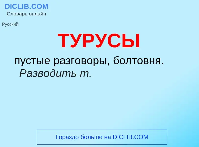 Что такое ТУРУСЫ - определение