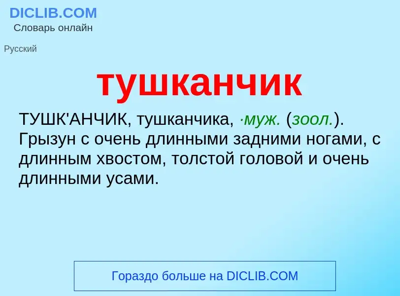 Wat is тушканчик - definition