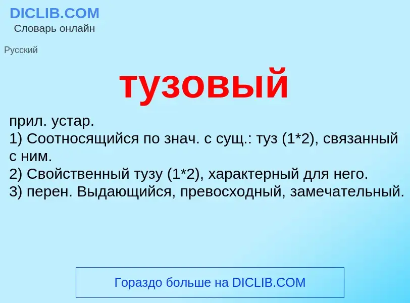 ¿Qué es тузовый? - significado y definición