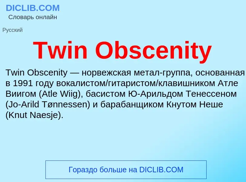 Τι είναι Twin Obscenity - ορισμός