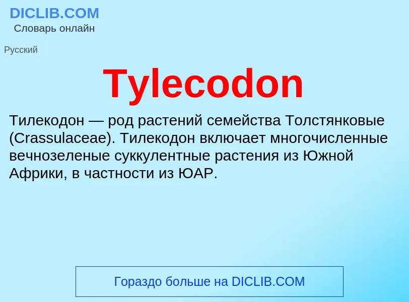 Τι είναι Tylecodon - ορισμός