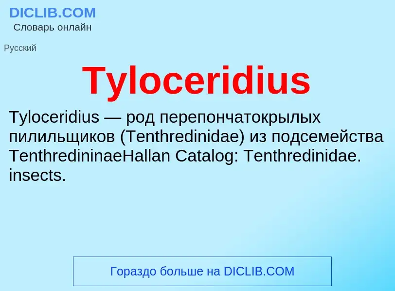 Τι είναι Tyloceridius - ορισμός